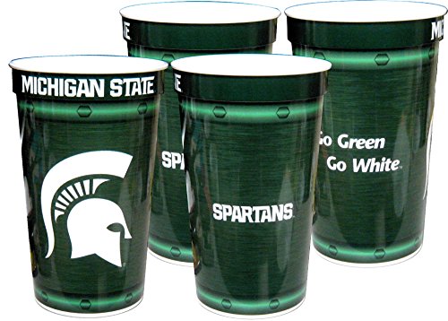 MI State University