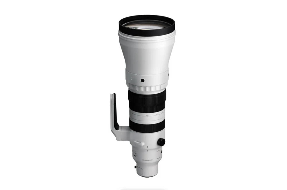 Sigma 300-600mm f/4 DG OS HSM Sports Telephoto Lens for Canon/Nikon/Sony DSLR Cameras - Professional Wildlife, Sports & Bird Photography