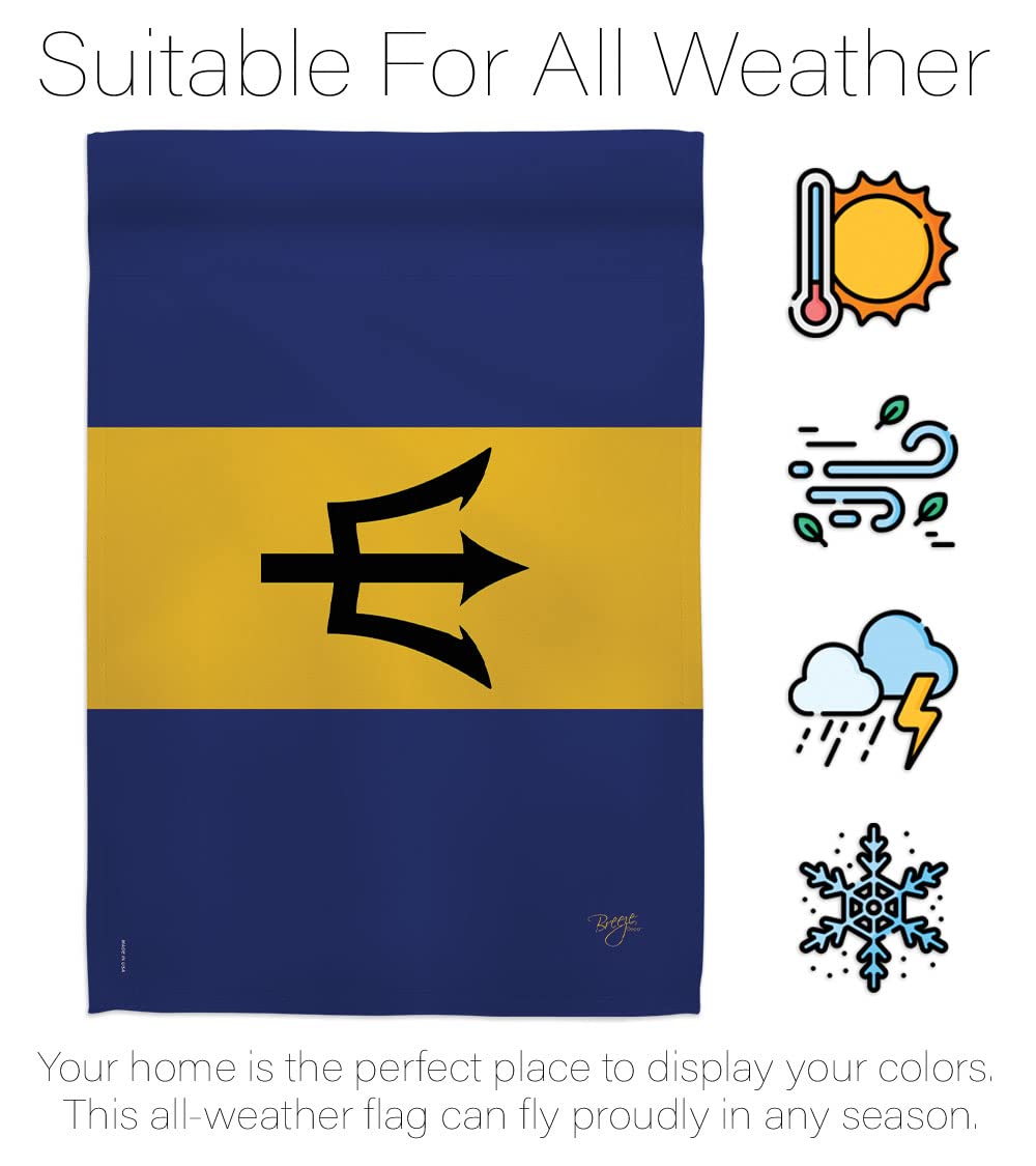 Barbados National Flag 28