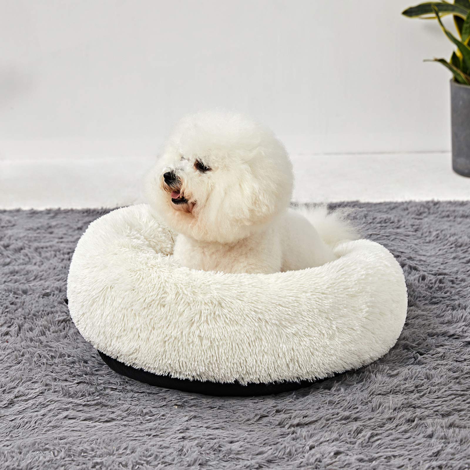 Washable Round Donut Dog Bed for Small Dogs - Soft & Comfy Calming Cuddler Pet Bed - Perfect for Puppies, Travel & Home Use