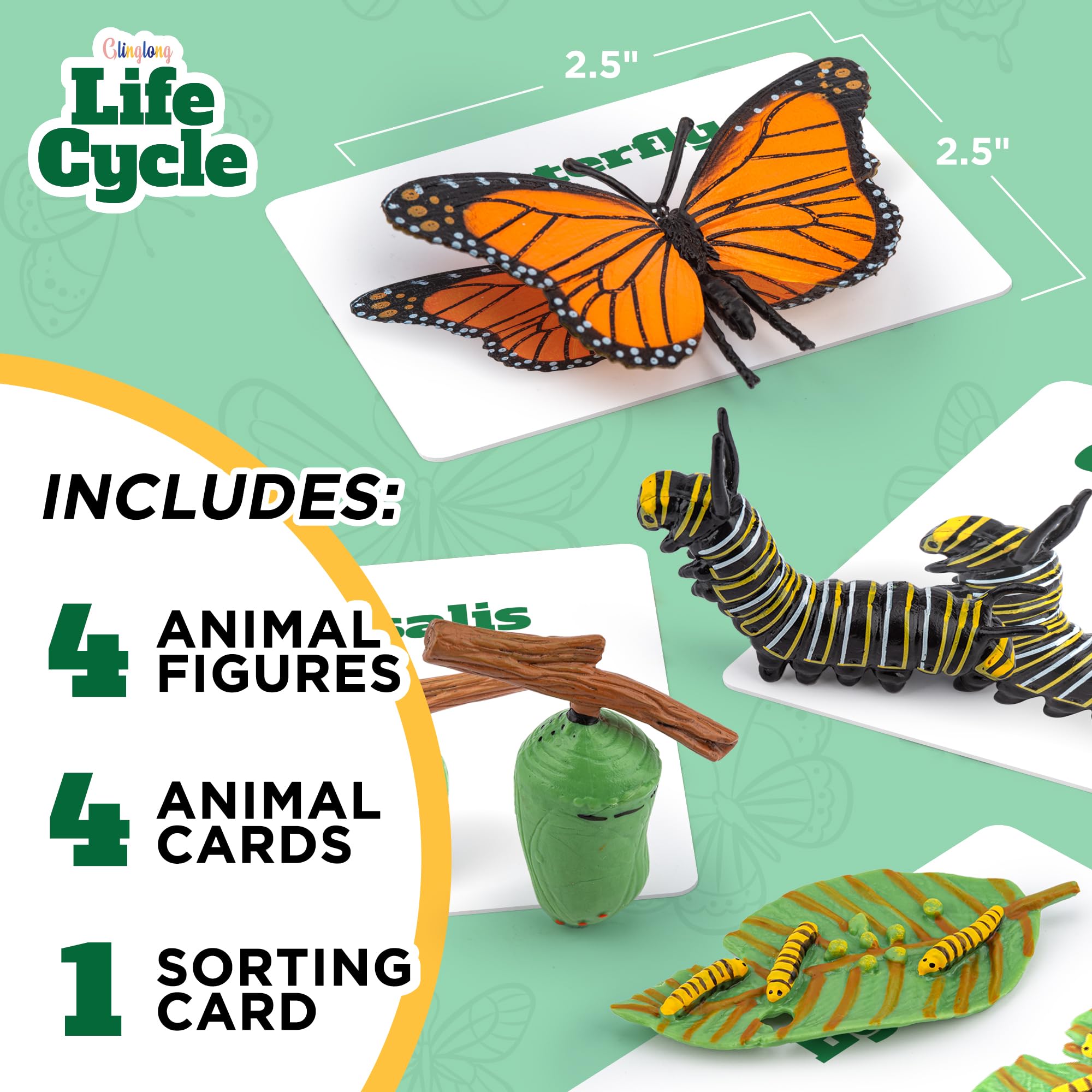 Montessori Life Cycle Kit - Realistic Animal Figurines Toys for Kids, Butterfly & Caterpillar Matching Game - STEM Learning Educational Toys for Children Ages 3+, Perfect for Classroom Science Activities & Birthday Gifts