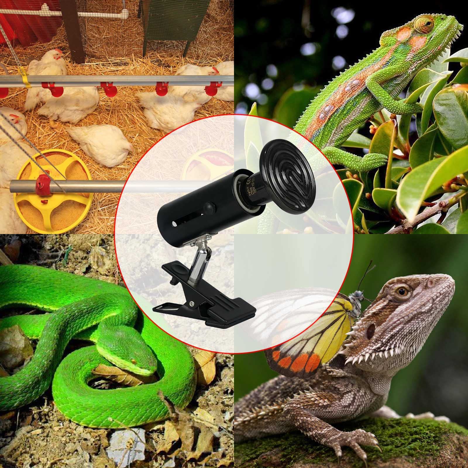 COOSPIDER 100W Ceramic Heat Emitter Reptile Heat Lamp - 360° Rotatable Clip Stand, Adjustable Bracket, No Light Brooder Coop Heater for Turtles, Snakes, Chickens & Lizards | Perfect for Terrariums, Vivariums & Reptile Habitats