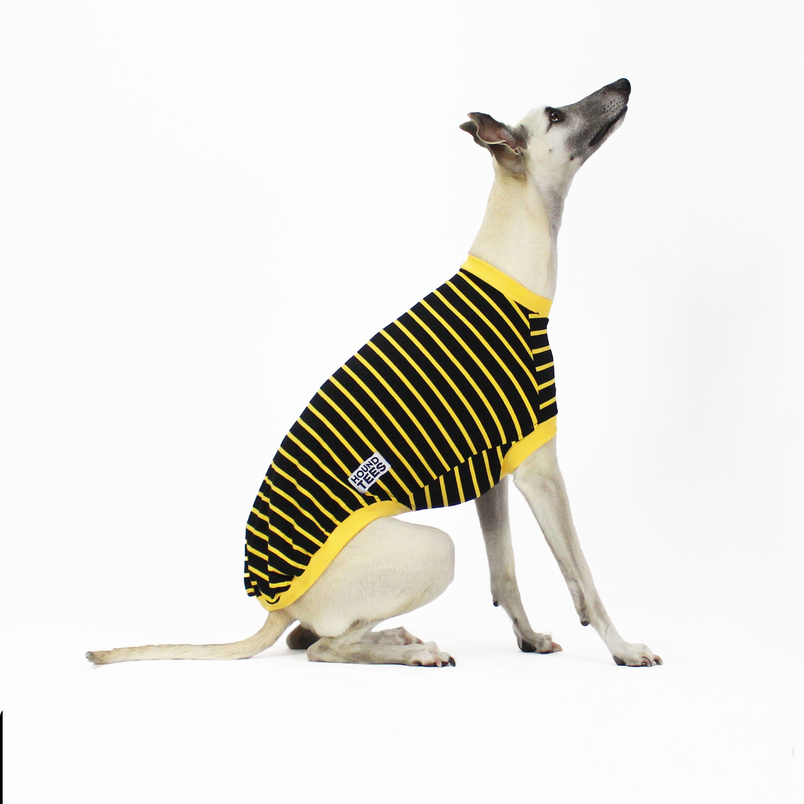 Buzz Whippet Sleeveless Hound T-Shirt for Dogs - Comfortable Summer Pet Apparel for Running, Walking & Outdoor Adventures