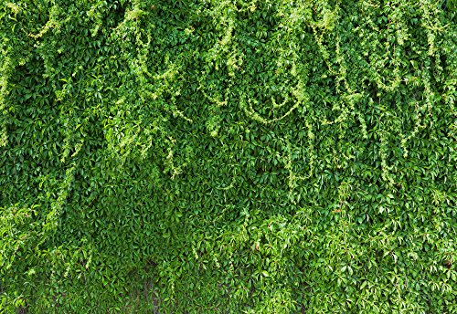 Green Branches of Leaves