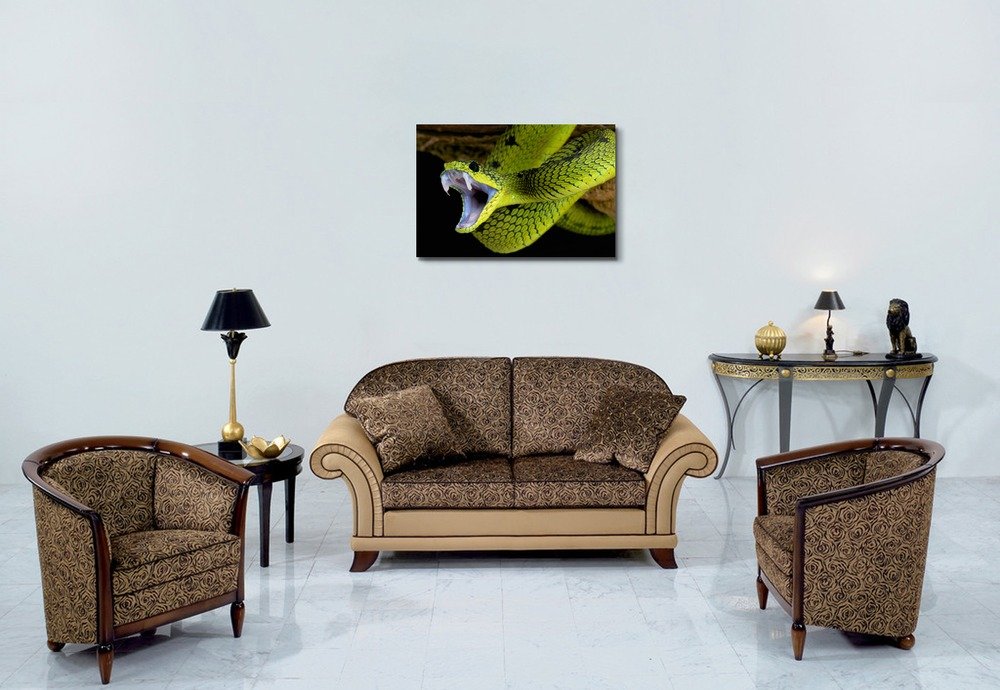 Striking Snake Attack Canvas Wall Art - 24x36 Inch Modern Home Decor, Stretched Gallery Wrap Giclee Print Ready to Hang | Perfect for Living Room, Bedroom or Office Decor
