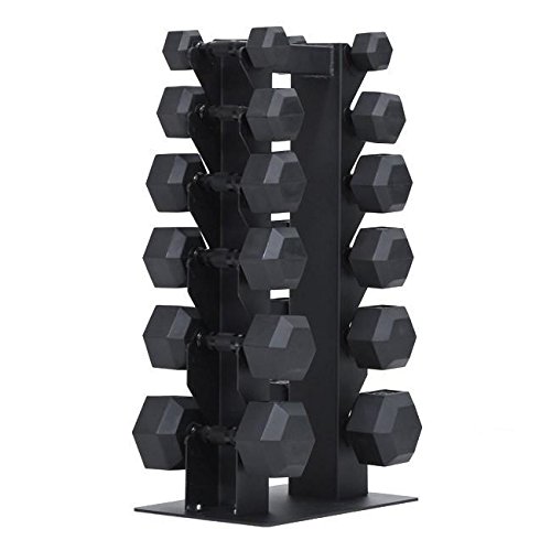 100-5164 Vertical Dumbbell Rack - Holds 6 Pairs of Dumbbells | Space-Saving Gym Storage for Home & Commercial Use | Perfect for Home Gym, Garage, or Fitness Studio