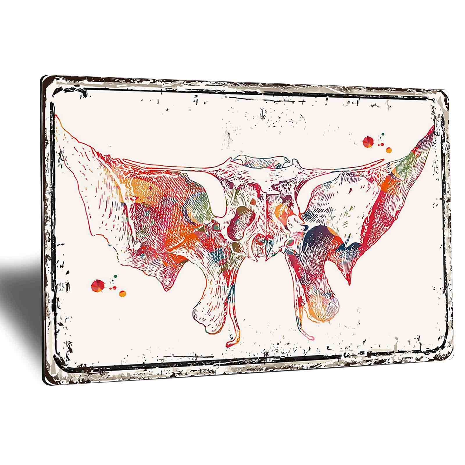 Vintage Metallic Tin Sign - Human Skull Anatomy Art Print with Sphenoid Bone Detail, 8x12 Inch Metal Wall Decor for Office, Bar, or Man Cave - Unique Science & Medical Gift for Doctors & Students