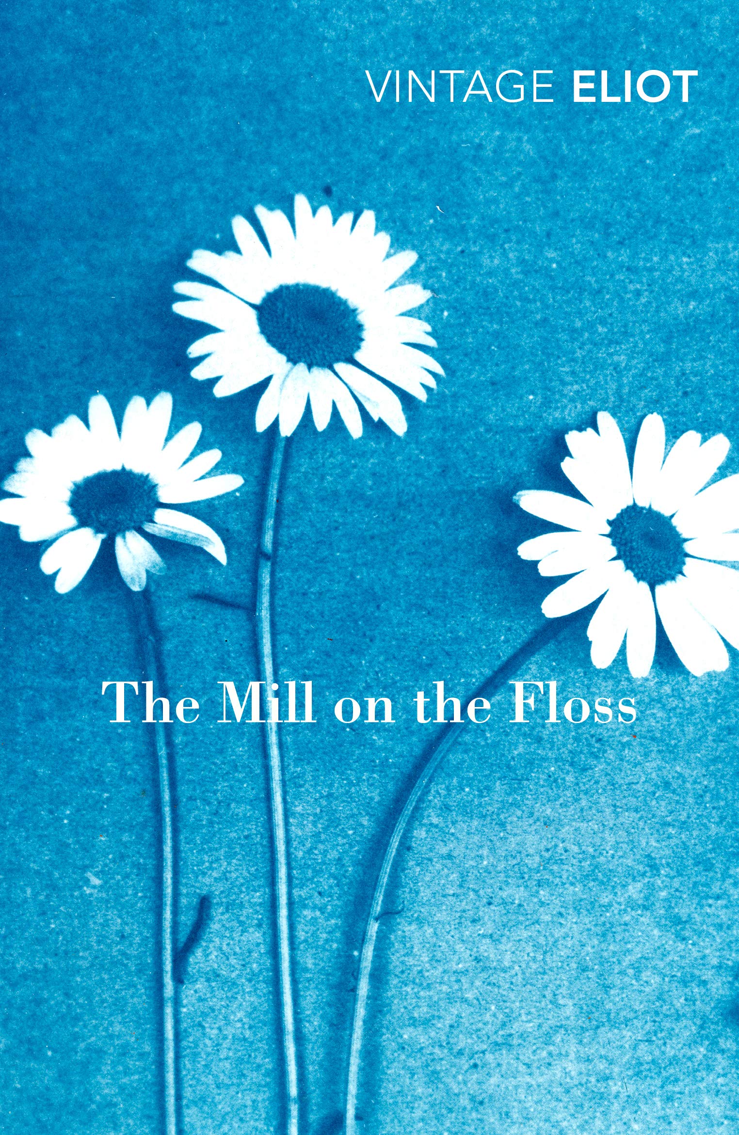 The Mill on the Floss by George Eliot - Vintage Classics Hardcover Edition | Classic English Literature Novel for Book Clubs & Literature Lovers