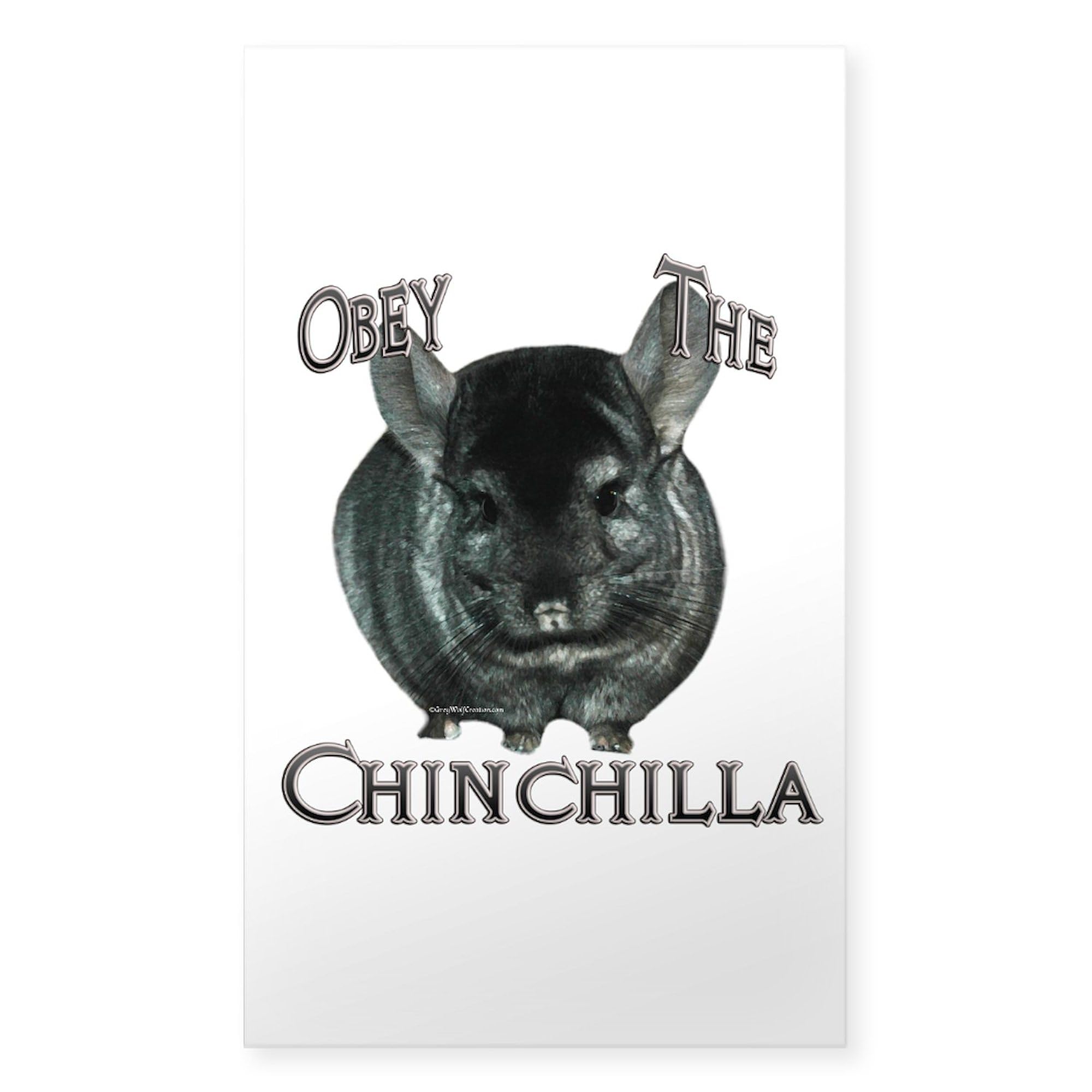 Chinchilla Obey Rectangle Sticker - Durable Bumper Decal for Cars, Laptops & Water Bottles - Fun Car Accessories for Pet Lovers & Humor Fans