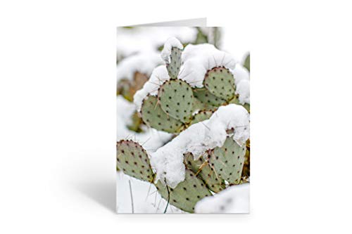 Prickly Pear