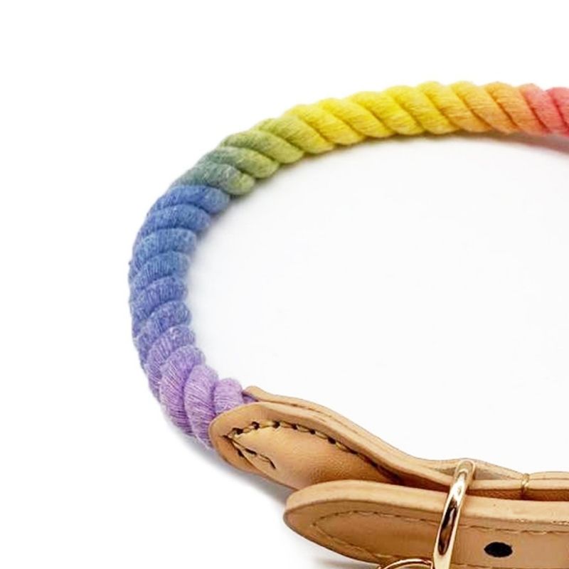 Tinklylife Rainbow Dog Collar - Colorful Adjustable Pet Collar for Small Medium Dogs - Perfect for Daily Walks, Training & Outdoor Adventures