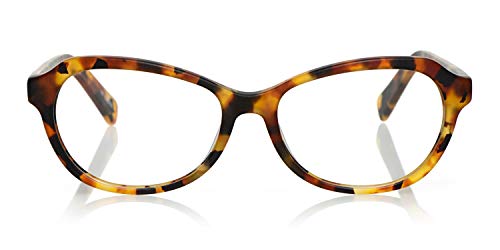 Tortoise Front and Temples