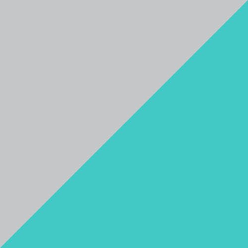 Aqua/Silver