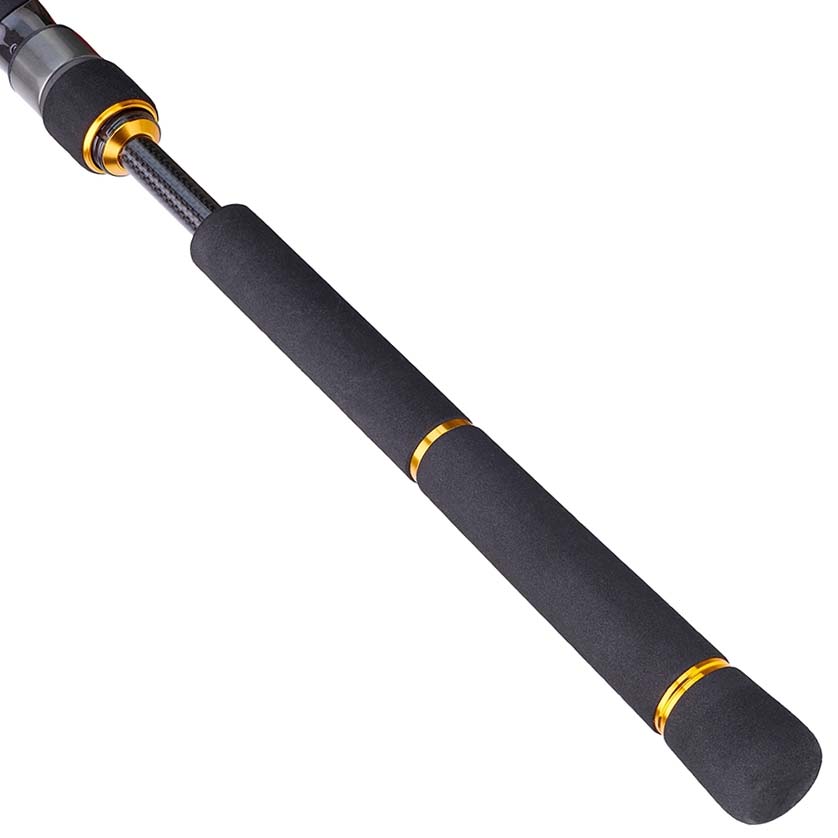 Daiwa BG Sea Bass Spinning Rod - Saltwater Fishing Rod for Bass, Surf & Inshore Fishing - Perfect for Beach, Pier & Boat Fishing Adventures