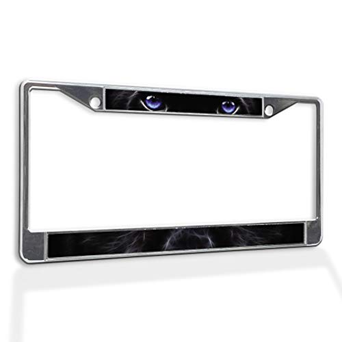 Chrome 2 Holes Solid Insert