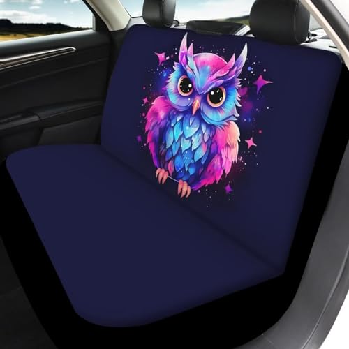 A Cute Owl
