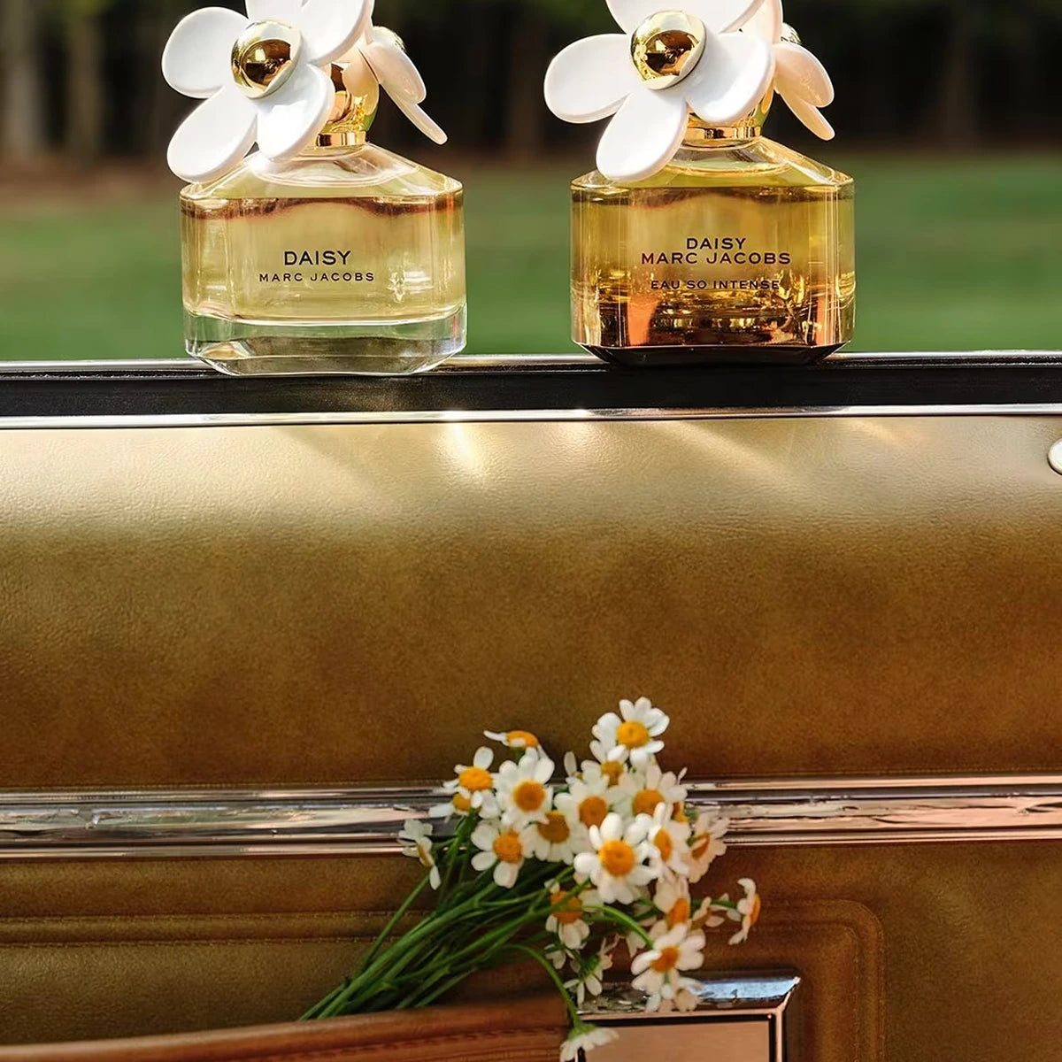 Daisy Eau So Intense Perfume for Women - 3.4 oz Eau de Parfum Spray | Floral Fragrance for Date Night, Office & Special Occasions