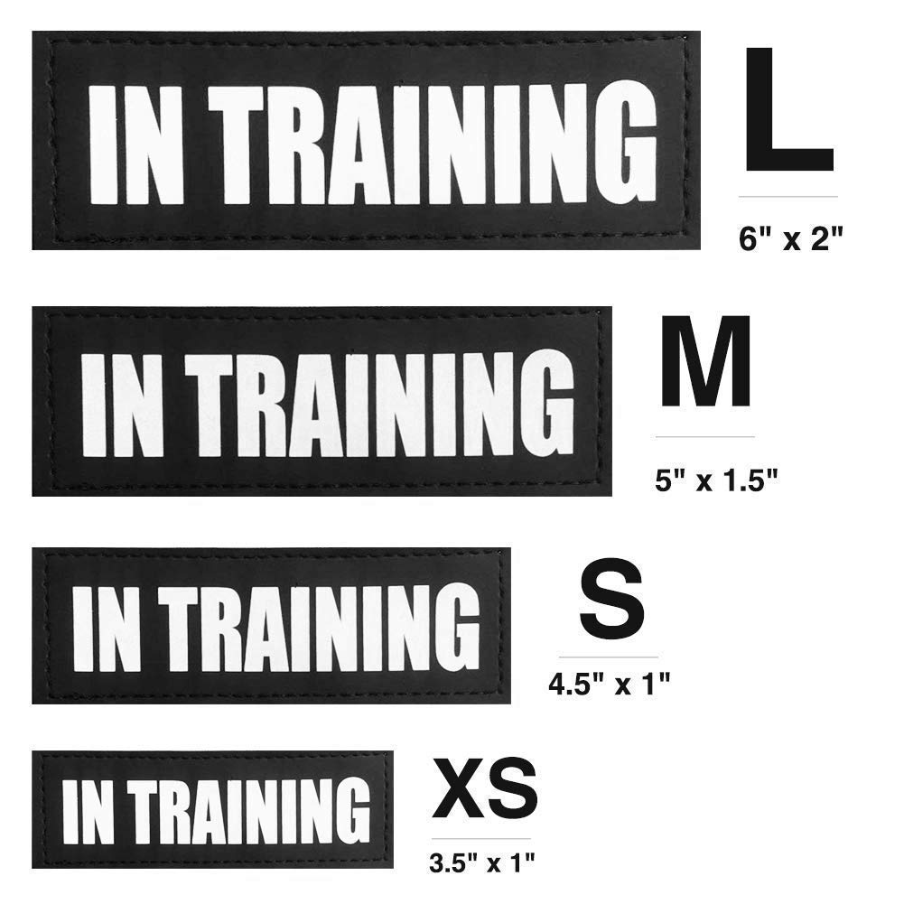Fairwin Reflective Removable Dog Training Patches for Service Vest & Harness - Perfect for Police, Military, and Working Dogs