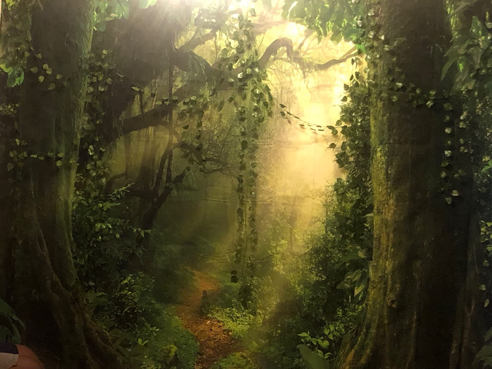 Leowefowa 10x8ft Jungle Forest Photography Backdrop - Old Trees with Green Vines & Dirt Road Fairytale Scene - Vinyl Photo Background for Kids Portraits, Baby Photos, Studio Props - Perfect for Birthday Parties, Baby Showers & Themed Events