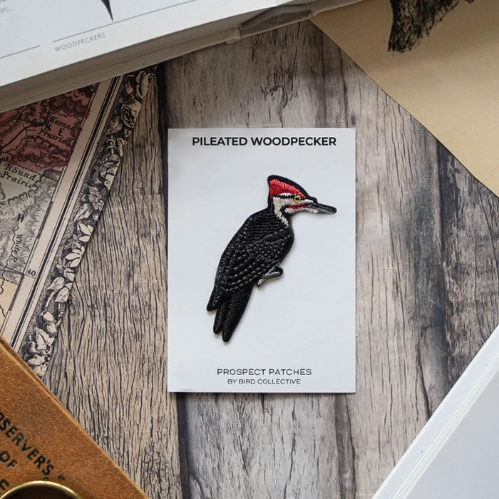 Bird Collective Pileated Woodpecker Iron-On Patch - Nature Inspired Embroidered Badge for Jackets, Backpacks & Hats - Perfect for Outdoor Enthusiasts & Wildlife Lovers
