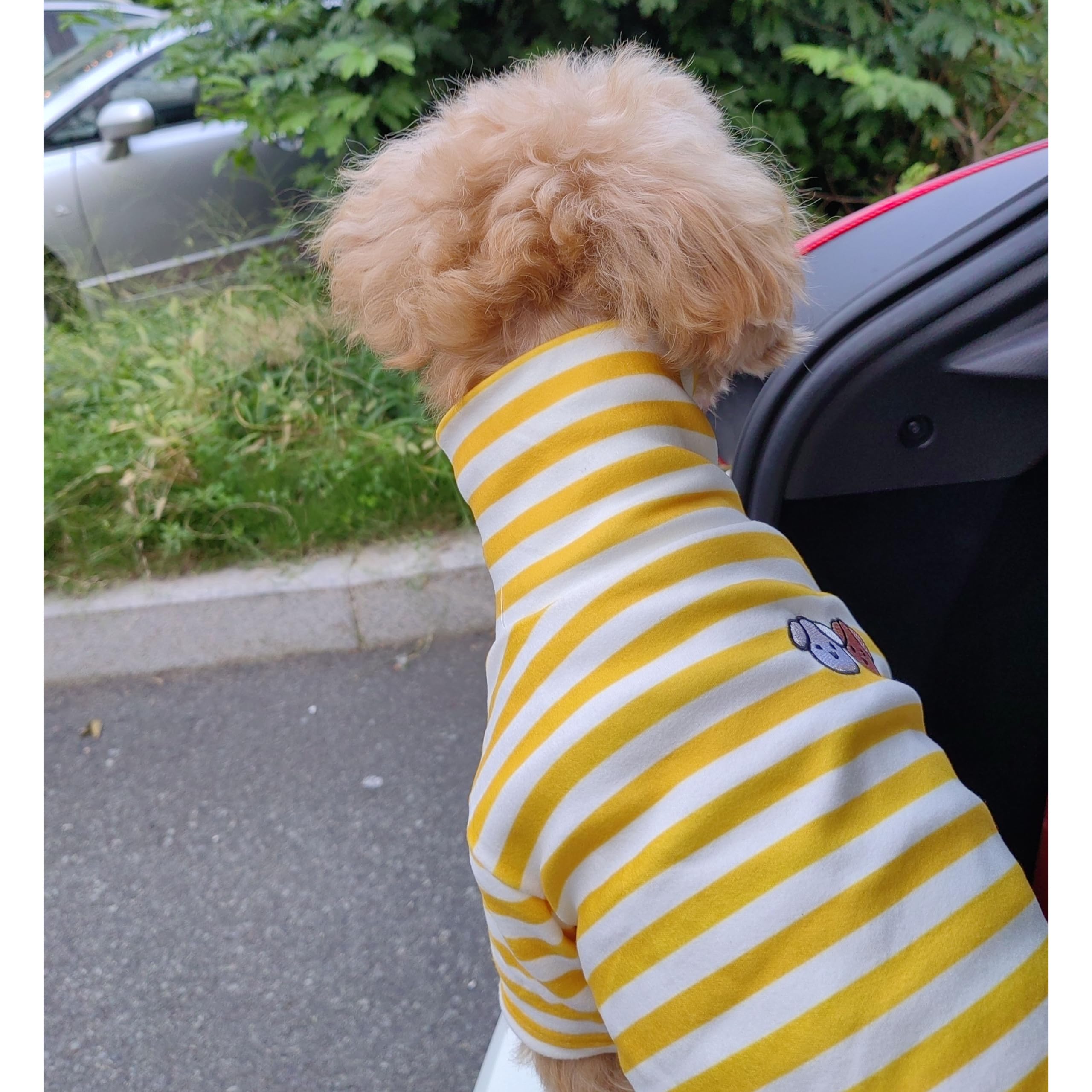 Cute Striped Turtleneck Dog Sweater - Super Soft & Stretchy Embroidered Puppy Pullover for Small Medium Large Dogs & Cats (Yellow, Small) - Perfect for Winter Walks & Indoor Cozy Time
