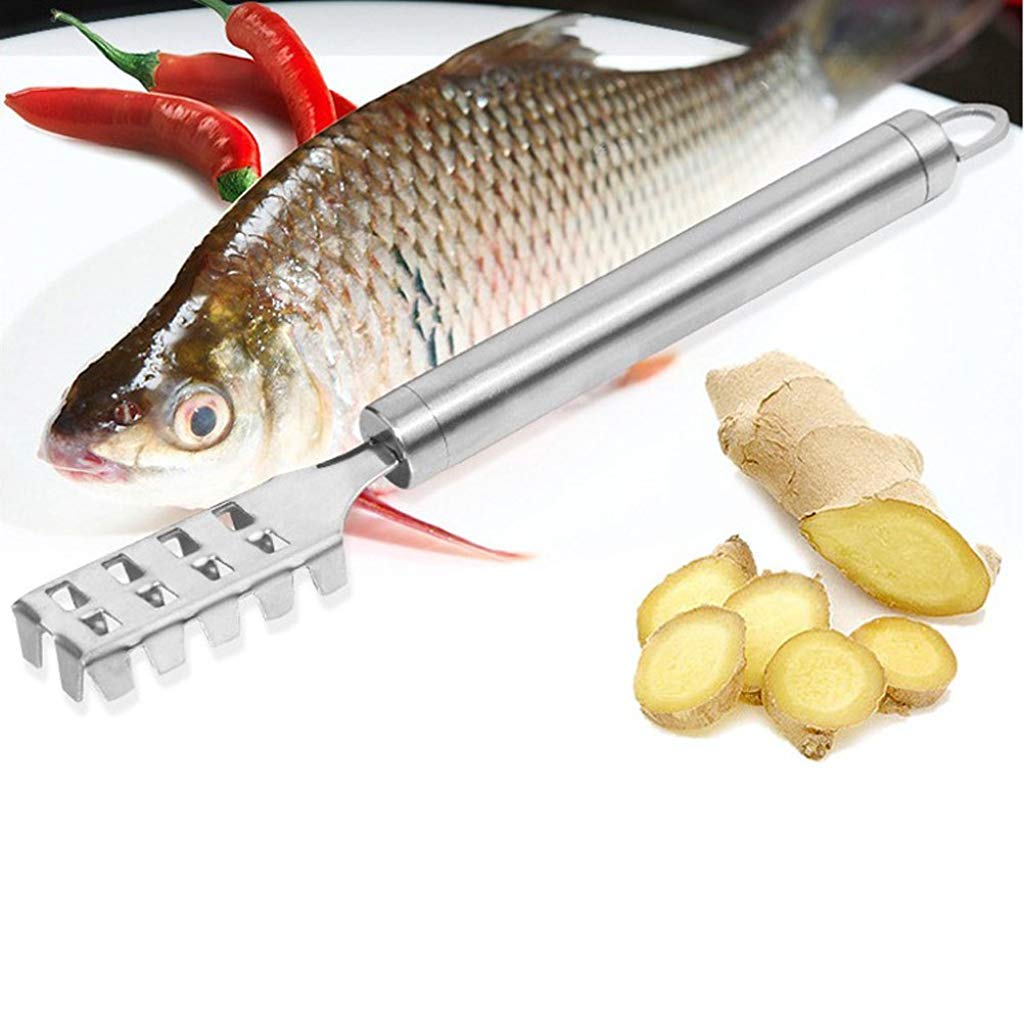 2PCS Stainless Steel Fish Scale Remover & Scraper - Quick & Easy Fish Cleaning Tool for Kitchen, Camping, and Outdoor Cooking