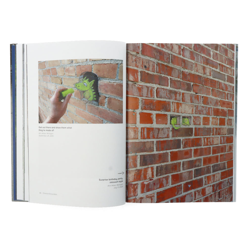 Chance Encounters: David Zinn's Temporary Street Art Book - Urban Art Collection for Artists & Designers | Perfect for Creative Inspiration & Home Decor