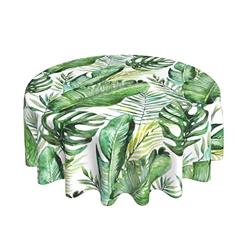 Tropical Palm-1