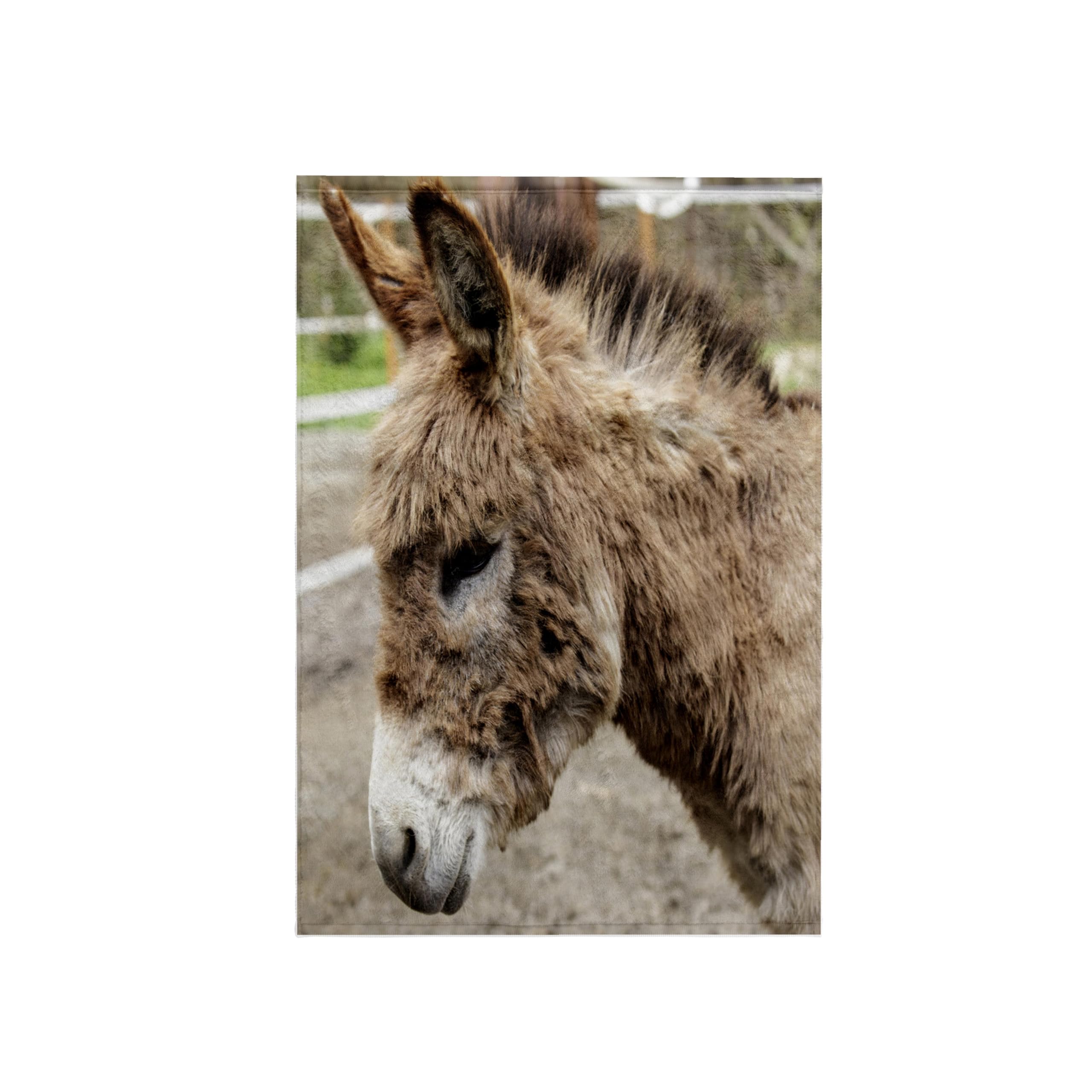 3dRose Danita Delimont Miniature Mediterranean Donkey Foal Portrait - Fall City WA Animal Themed Bath Towel Set (twl-332815-1) - Perfect for Farmhouse Decor, Baby Showers & Unique Gift Ideas