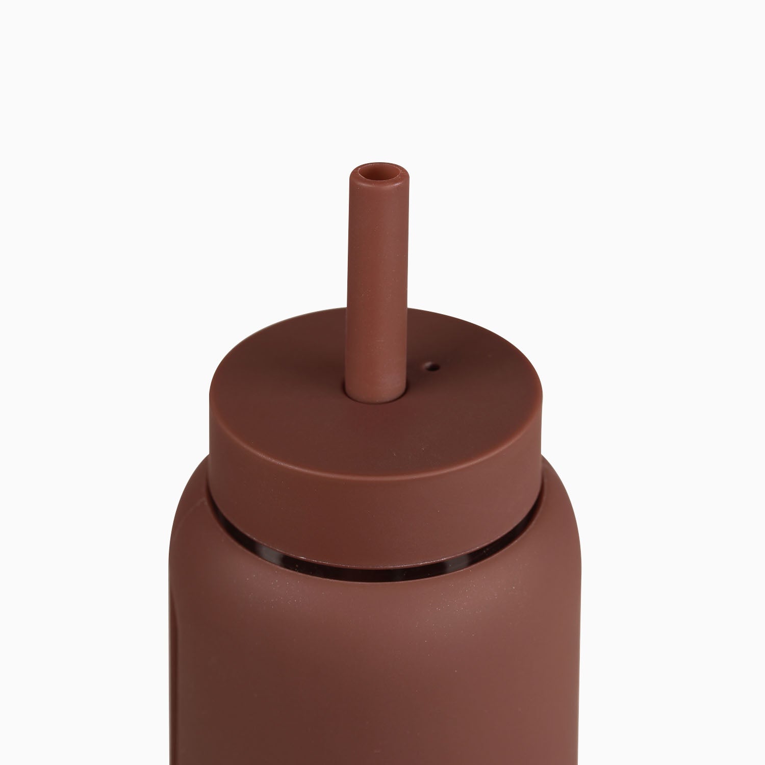 17oz Mini Bottle with Straw & Cap - Portable Water Bottle for Gym, Hiking, Travel & Outdoor Activities