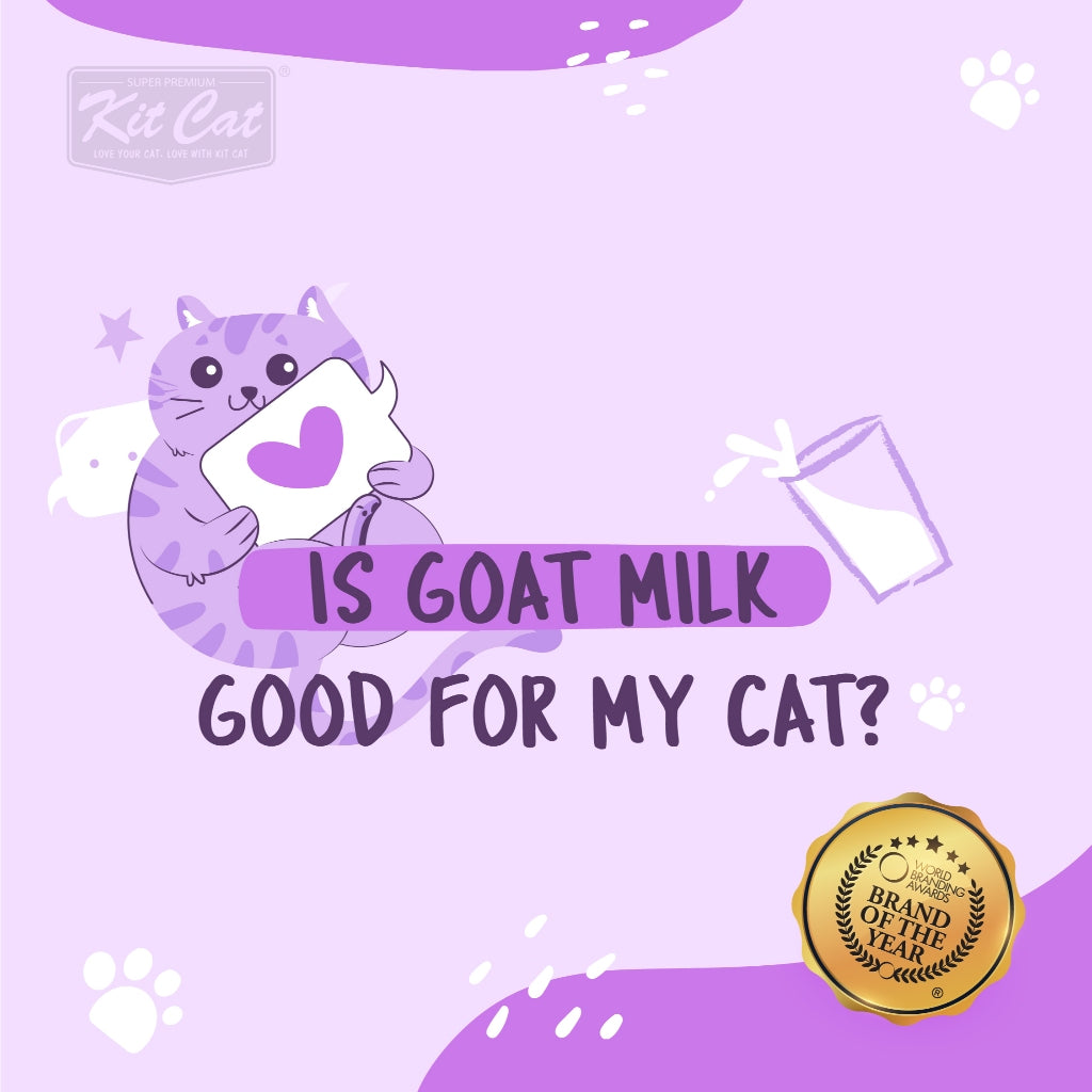Premium Kit Cat Goat Milk Gourmet Wet Cat Food - 70g Can (12 Delicious Flavors) | High-Protein Meal for Adult & Senior Cats | Indoor & Outdoor Feline Nutrition