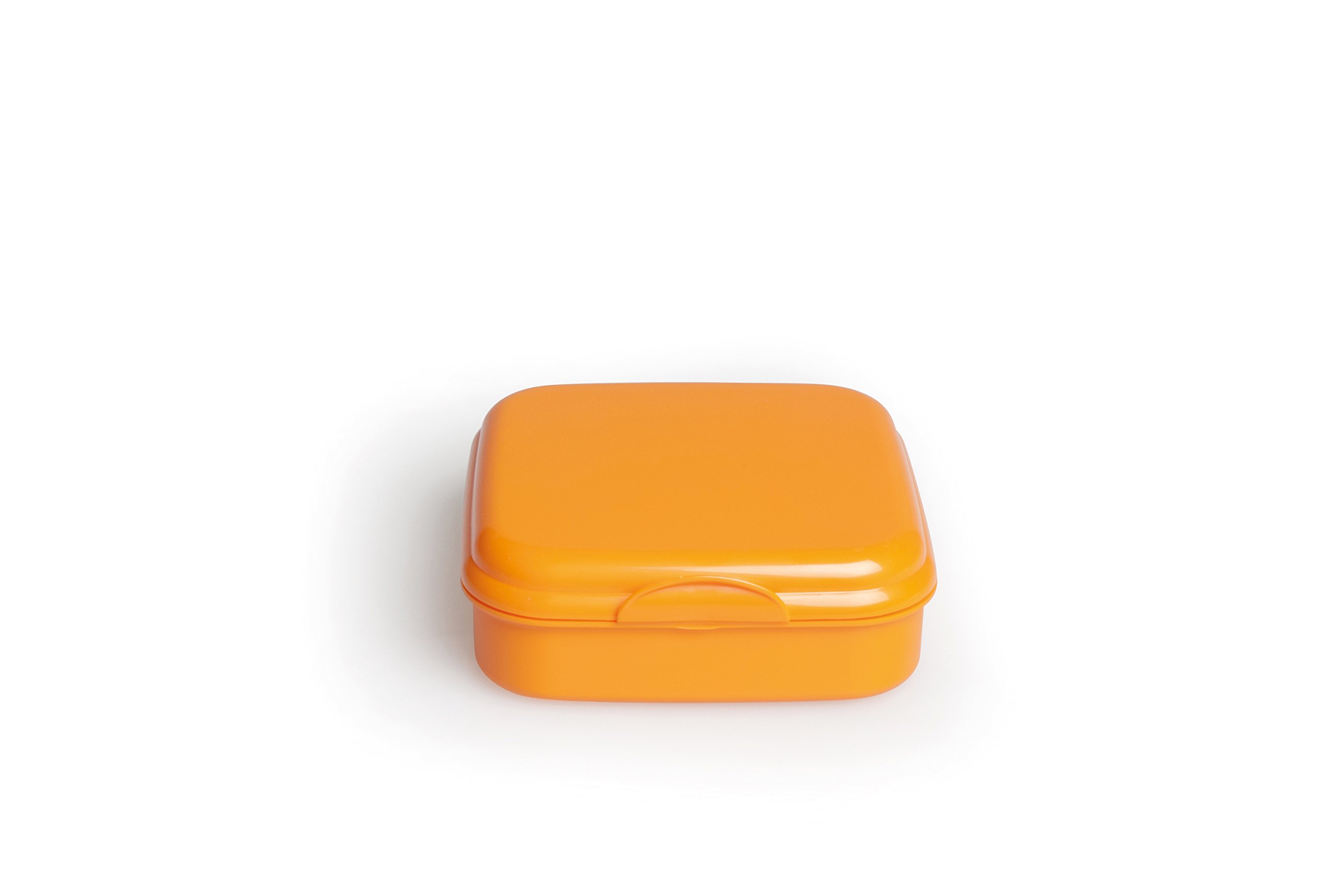 Eco-Friendly Take Away Food Container - 15x15x5cm Polypropylene Sandwich Box (Orange) | Perfect for Picnics, Office Lunches & Meal Prep