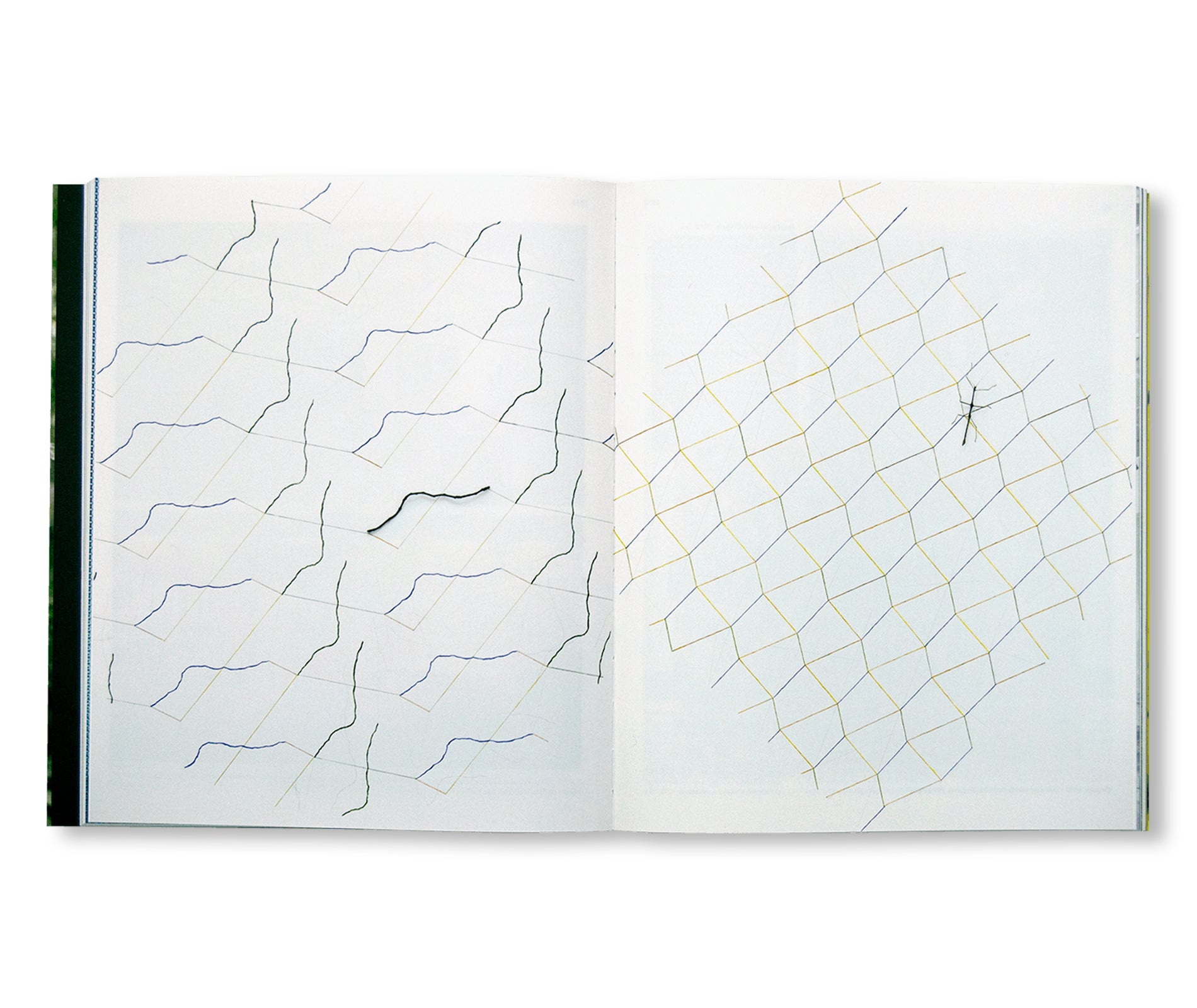 Daniel Steegmann Mangrané Leaf-Shaped Animal Drawing - Unique Handmade Artwork for Home Decor & Gift Giving