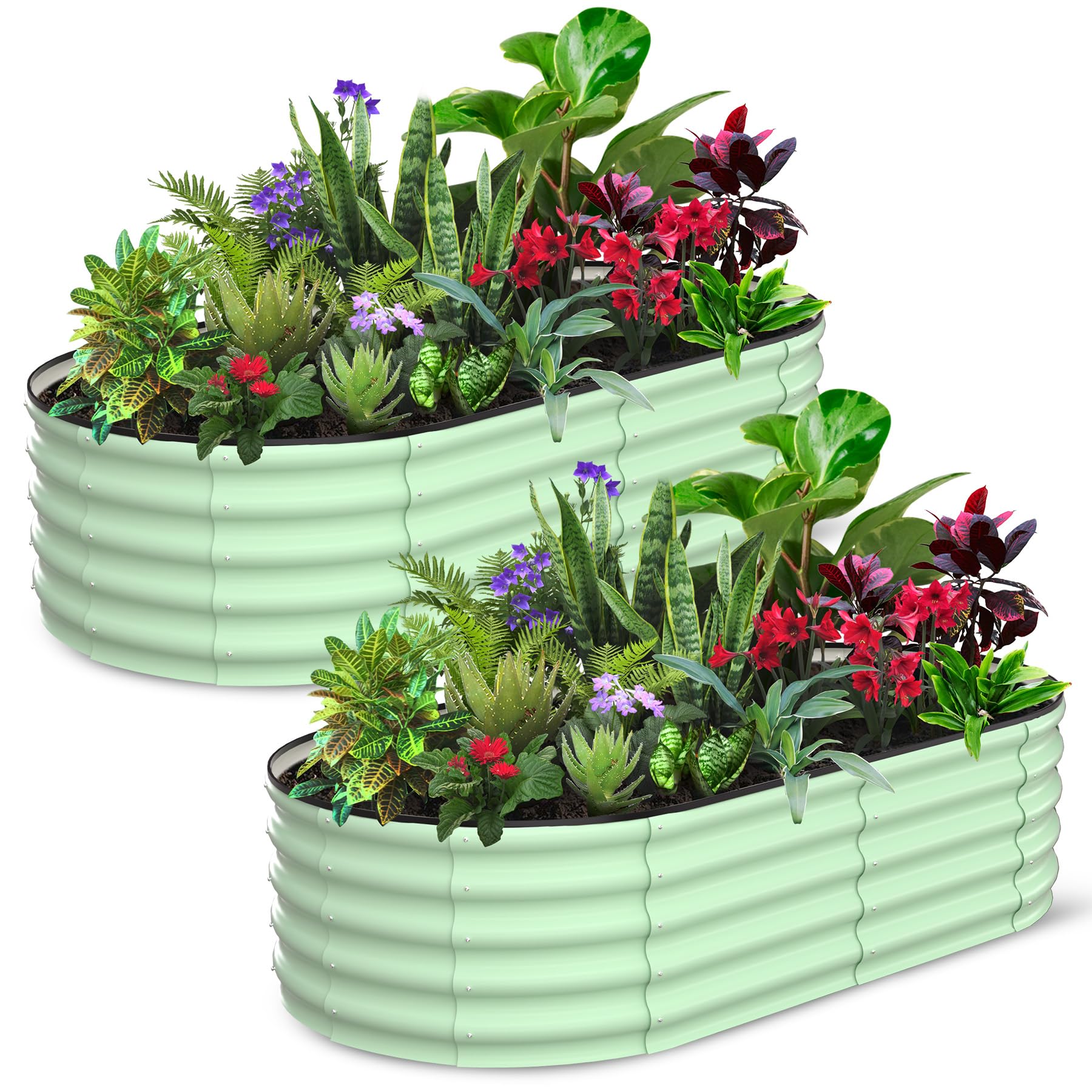 GARVEE 2 Pack 6'x3'x1.5' Oval Galvanized Steel Raised Garden Beds - Open Base Metal Planter Boxes for Vegetables, Flowers & Herbs - Easy Tool-Free Assembly - Large Outdoor Gardening Containers for Backyard, Patio & Urban Farming