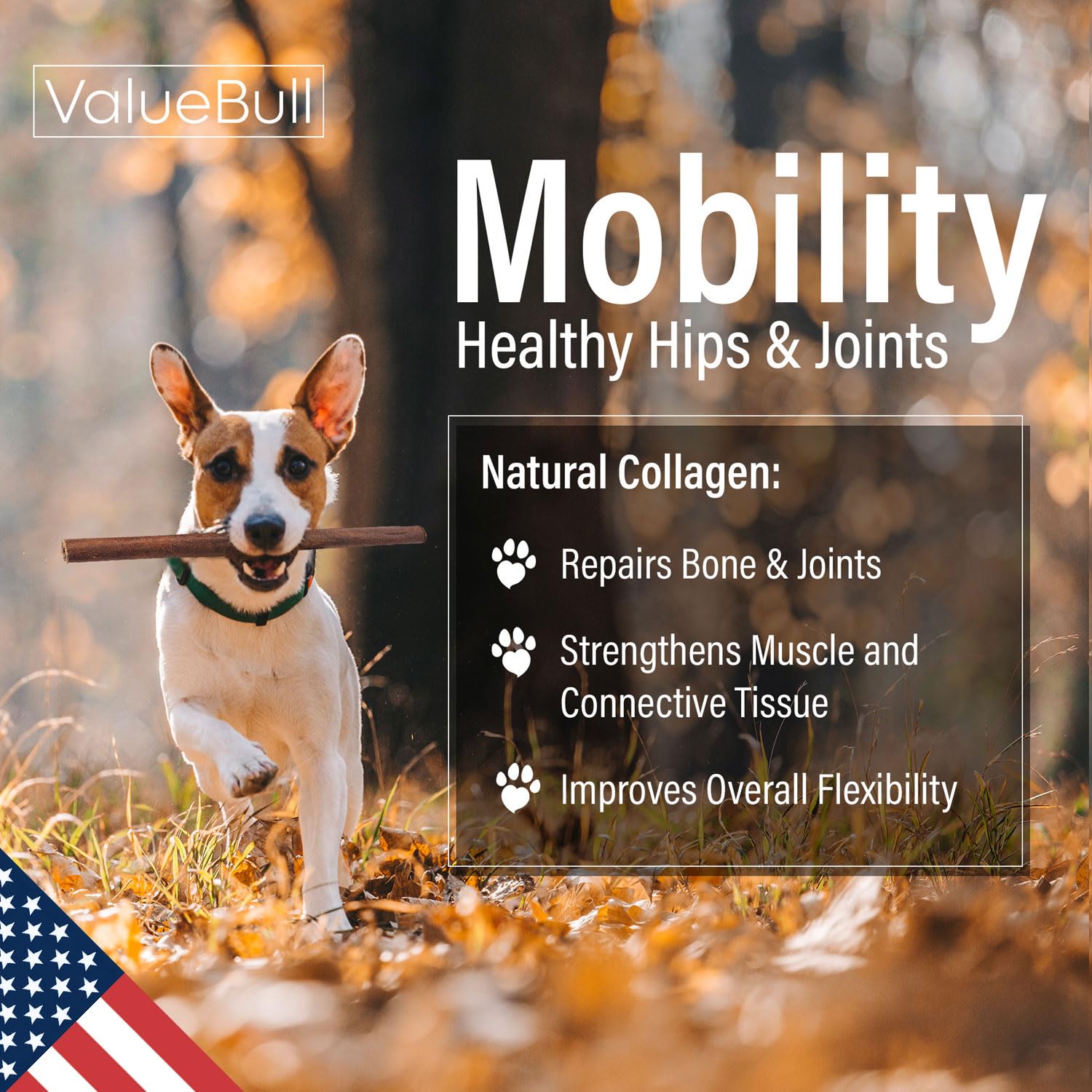 Premium USA Collagen Sticks for Dogs - Natural & Safe Single Ingredient Chews, 12 Inch Jumbo Size (50 Count Bulk Pack) | Healthy Alternative to Bully Sticks & Rawhide | Supports Hip & Joint Health, Skin & Coat Care | Perfect for Aggressive Chewers, Training Rewards & Dental Hygiene