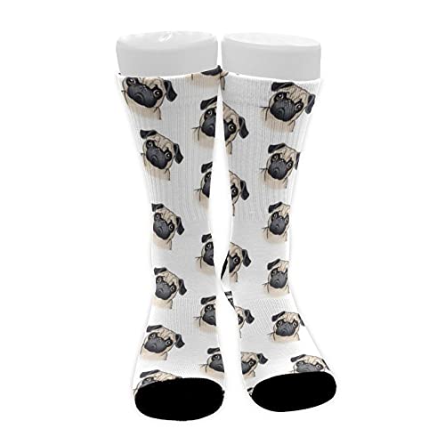 Cute Pug Dog