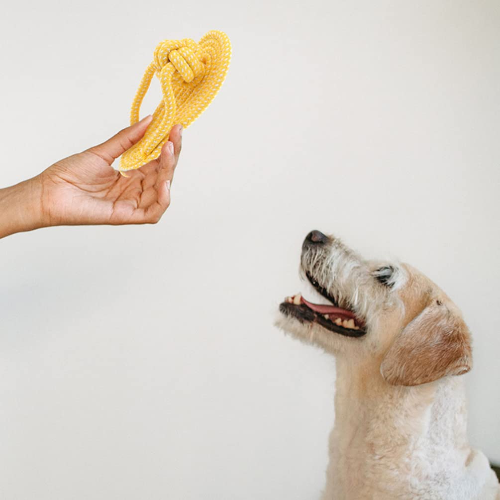 Balacoo 2-Pack Dog Chew Toys for Aggressive Chewers - Durable Pet Slippers & Plush Molar Chewing Toys for Puppies, Teething Relief & Interactive Play - Great for Large Dogs, Rope Toys Included for Biting & Tug-of-War Fun