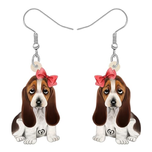Basset Hound B