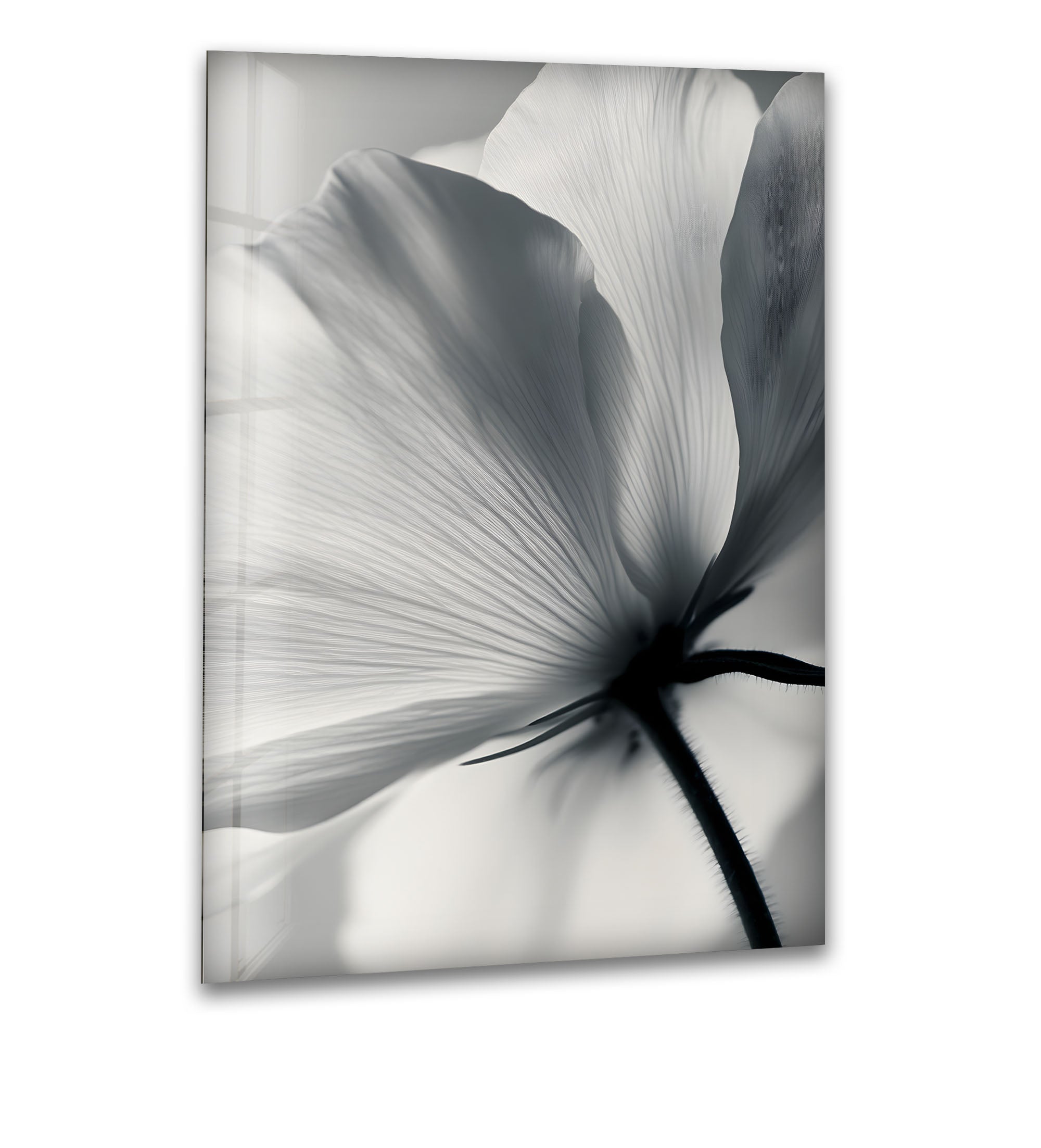 Elegant Black and White Floral Glass Wall Art - Modern Home Decor for Living Room, Bedroom & Office
