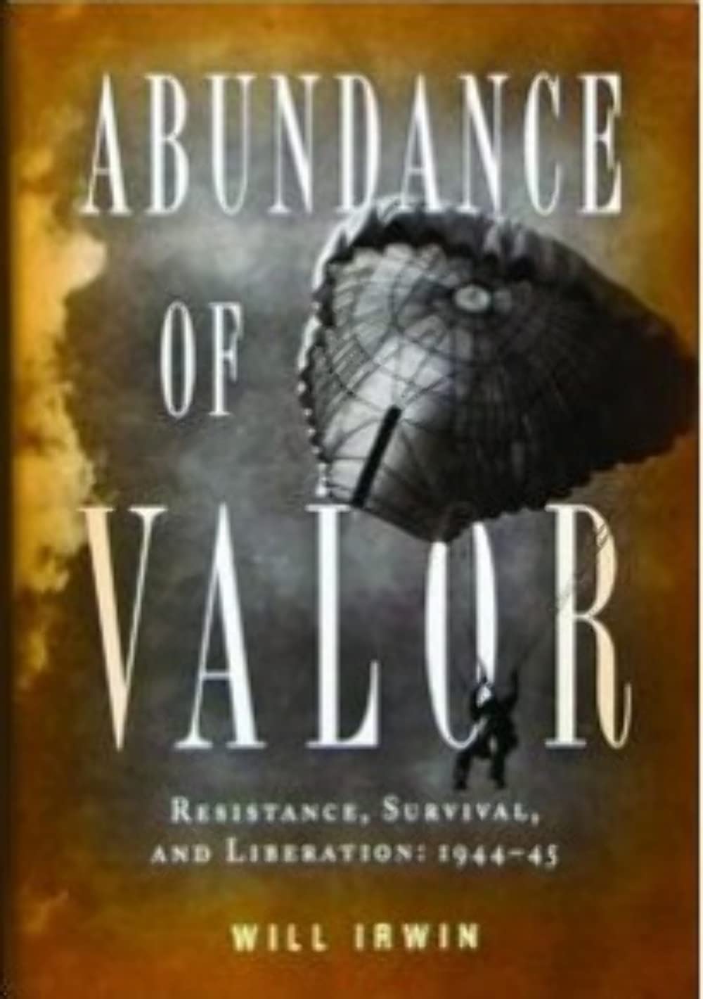 Abundance of Valor: WWII Resistance, Survival & Liberation 1944-45 - Historical Book for Military Enthusiasts & History Buffs