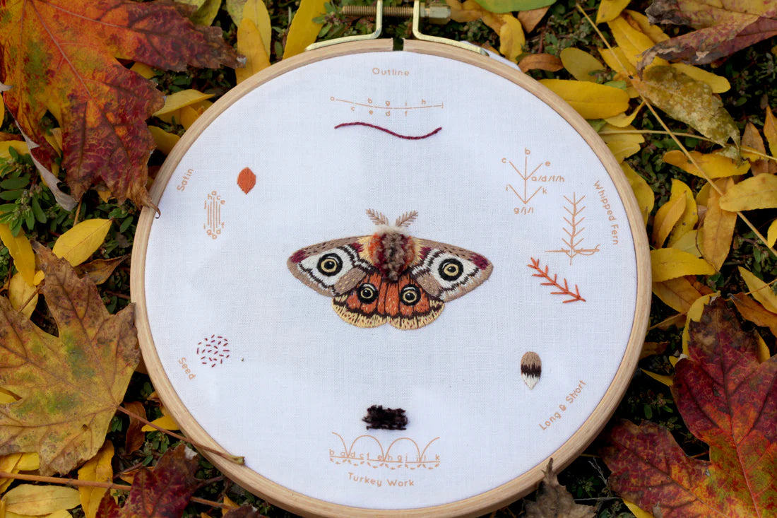 Elegant Moth Embroidery Stitch Sampler Kit - DIY Hand Embroidery Patterns for Beginners & Experts - Perfect for Home Decor, Wall Art & Gift Giving