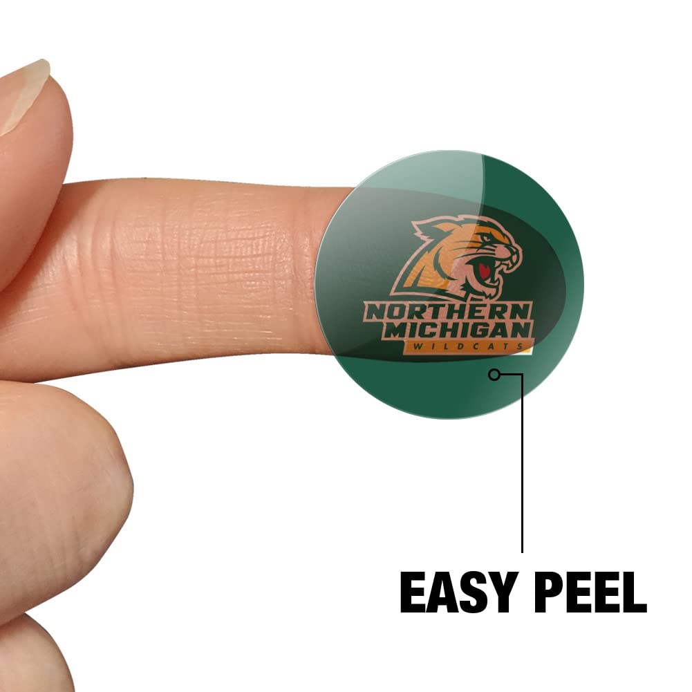 Northern Michigan Wildcats Logo 1