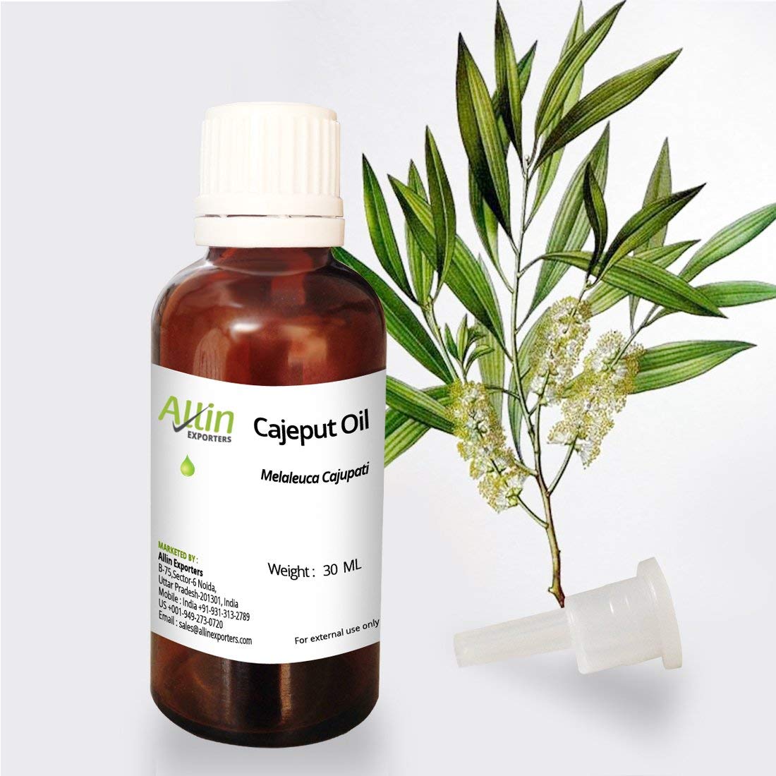 Premium Cajeput Oil - 100% Pure, Natural & Undiluted Essential Oil - 30ml Bottle for Aromatherapy, Massage & Skin Care - Allin Exporters