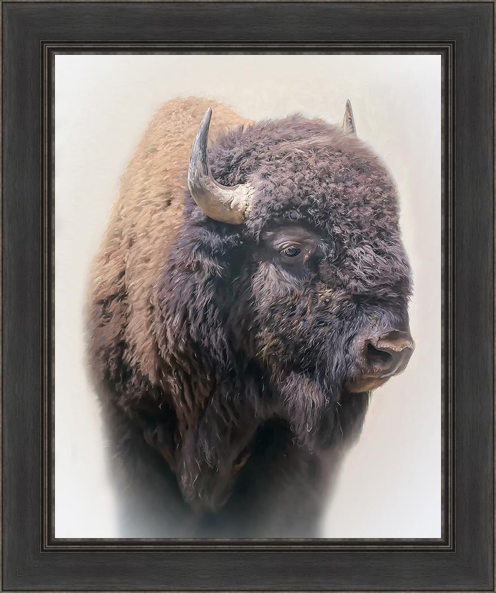 Bison By Matthew Grant | Premium Bison Meat & Jerky | High-Protein Snacks for Camping, Hiking & Outdoor Adventures