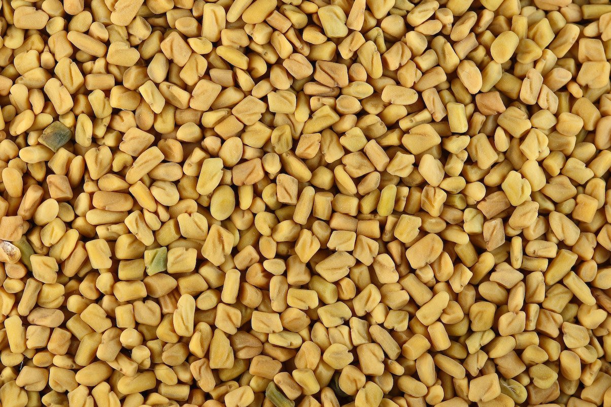 Organic Fenugreek Seeds Bulk - Premium Quality for Cooking, Tea & Herbal Remedies - Perfect for Indian Cuisine, Detox & Natural Healing