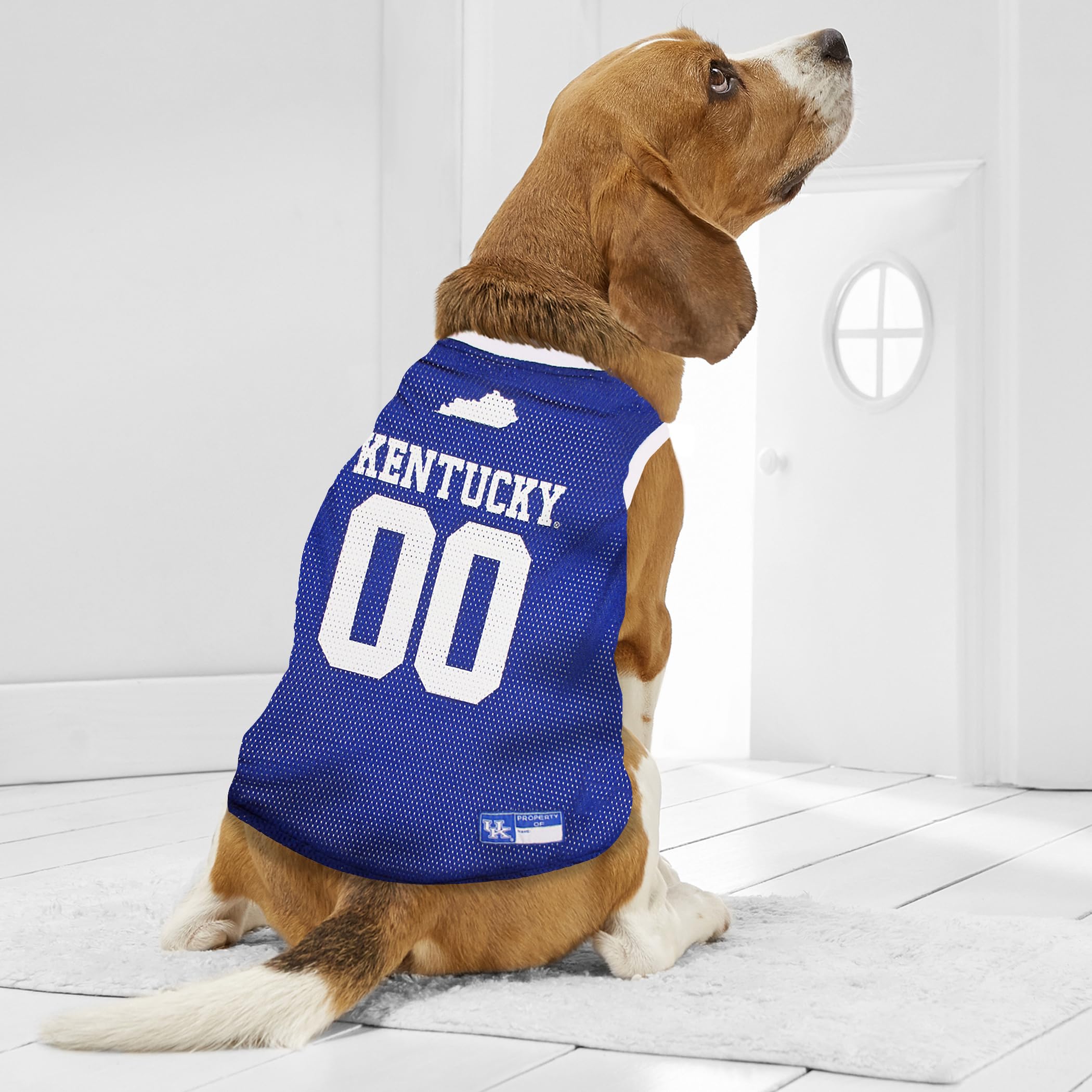 Kentucky Wildcats Pet Jersey for Dogs - X-Small (XS) Size - Team Spirit Apparel for Game Day & Fan Events - KY-4020-XS