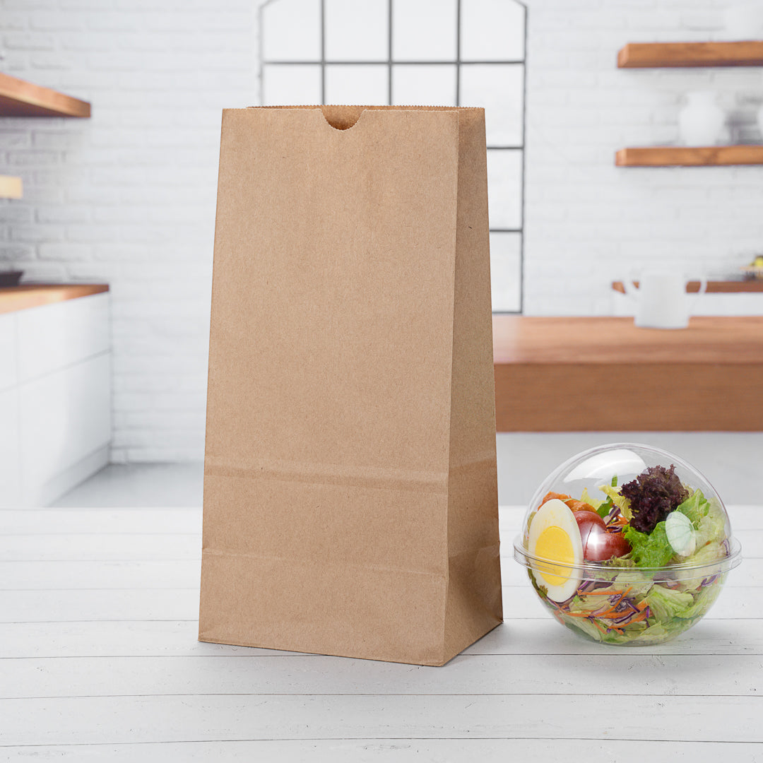 Premium Kraft Paper Bags 8 lb Capacity - 6 x 4 x 11.75 Inches - 100 Count Box - Eco-Friendly Shopping Bags for Retail, Grocery & Gift Packaging
