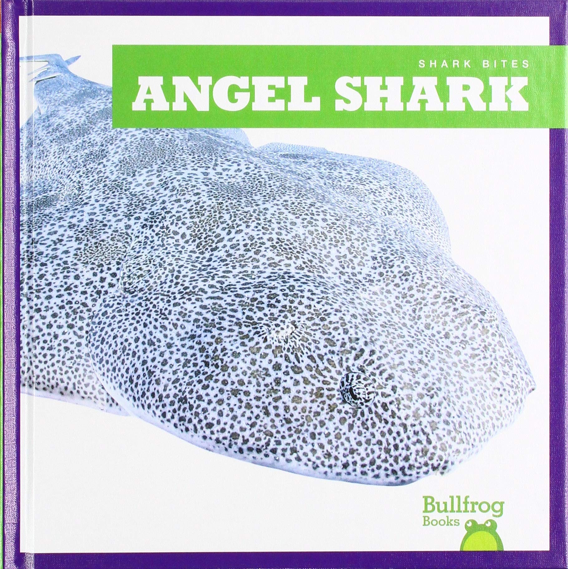 Angel Shark Book - Shark Bites Series by Bullfrog Books | Kids Ocean Animal Education & Marine Life Learning | Perfect for Classroom Reading & Homeschooling