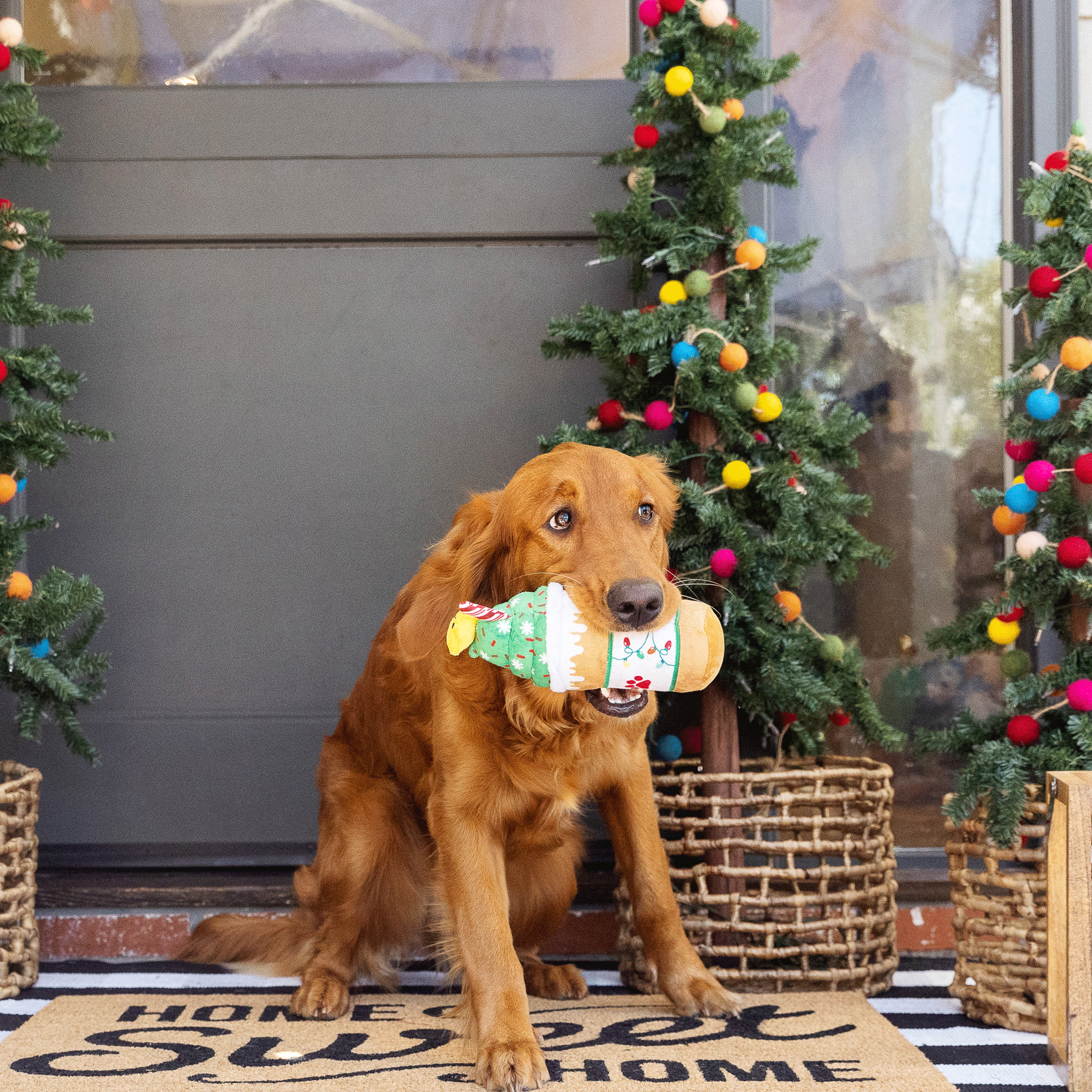 Fringe Deck the Halls Coffee Brown Dog Toys - Durable Chew Toys for Small & Large Dogs - Perfect for Indoor Play, Training & Holiday Gifts