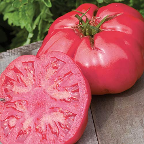Caspian Pink Heirloom